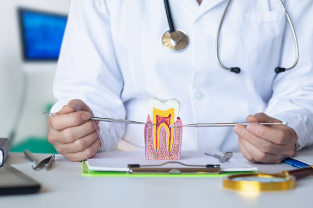 Best Same-Day Emergency Dental Services in Ambridge, PA